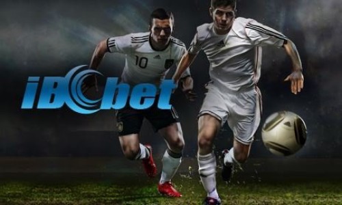 IBCBet Login: Langkah Cepat dan Praktis Login dari HP Android & iOS